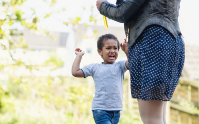 Top 4 Nutrition Strategies Aggression and Defiant Behaviors in Children