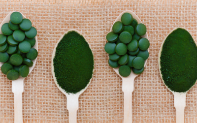 What is Chlorella?