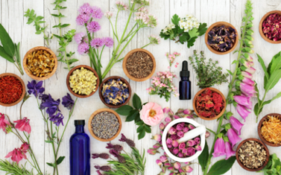 4 Herbs To Help With Menopause