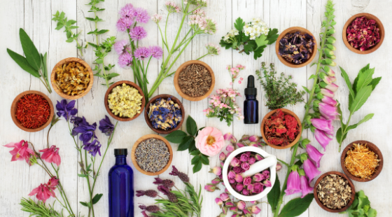 4 Herbs To Help With Menopause