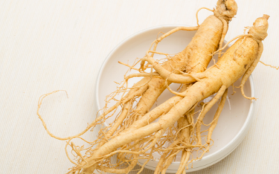 Is Ginseng Good For You?