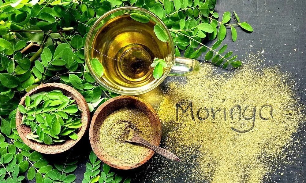 Benefits of Moringa, The New Superfood